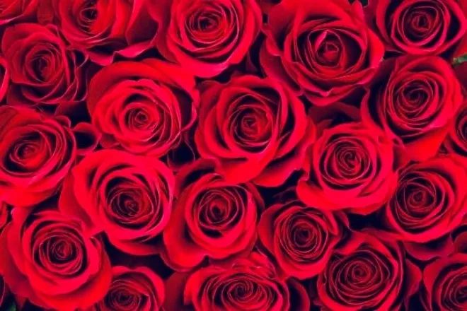 OnlyFans cuenta magic98 header 2