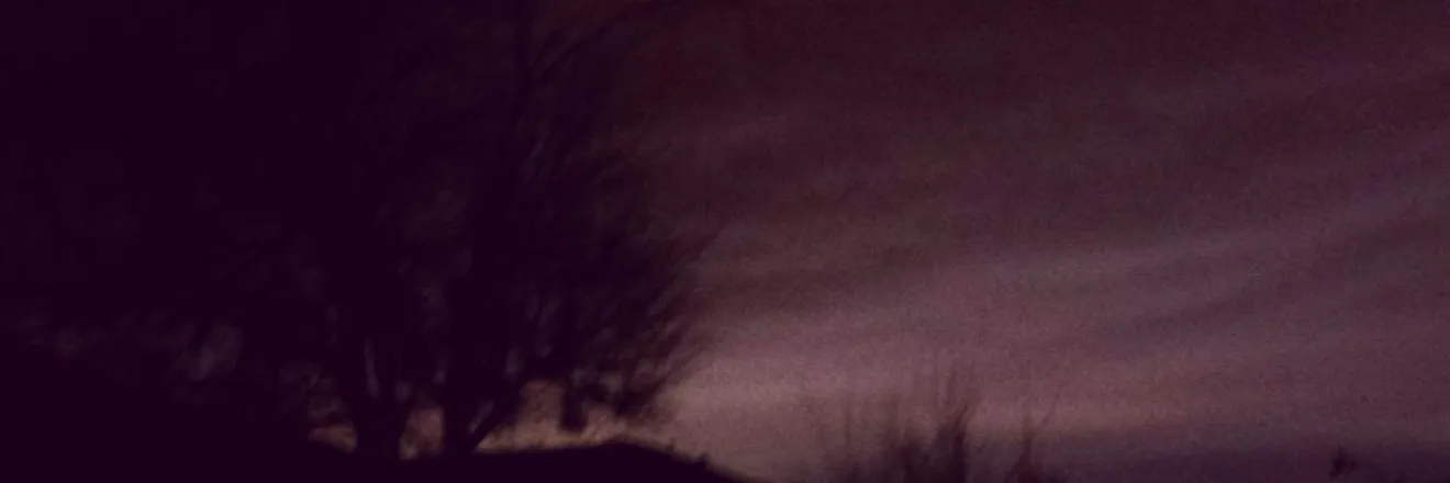OnlyFans cuenta datreelbsd header 2