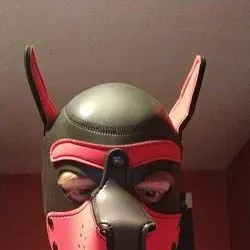 OnlyFans cuenta pup_bud avatar 1
