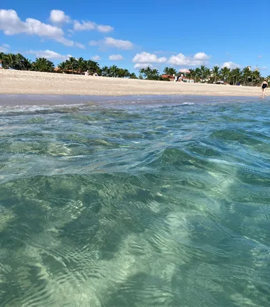 OnlyFans cuenta veganbeachgirl header 2