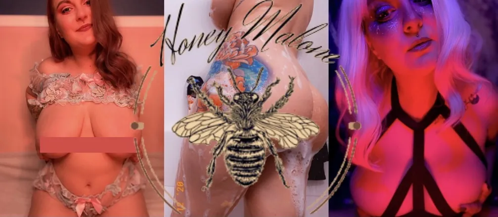 OnlyFans cuenta willaflowerfree header 2