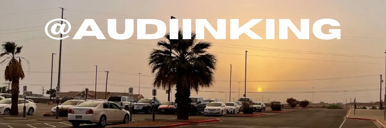 OnlyFans account  audiinking header 1