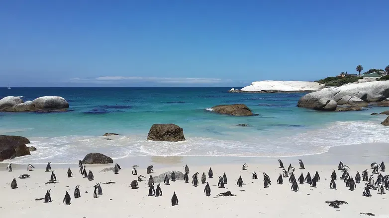 OnlyFans cuenta happypenguin header 1
