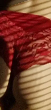 OnlyFans account  prettyfeet300 avatar 1