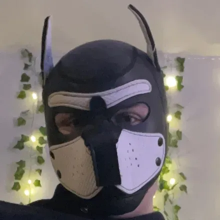 OnlyFans cuenta starrdog avatar 1