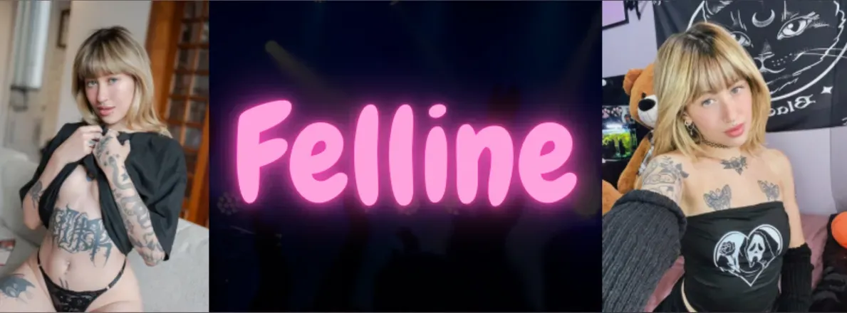 OnlyFans account  felline header 2
