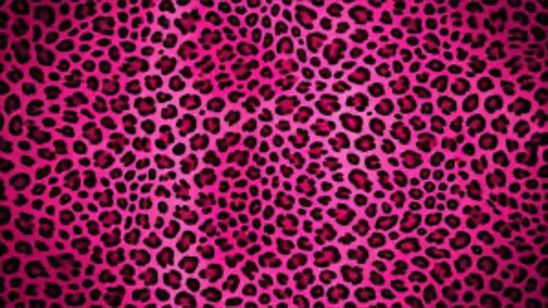 OnlyFans cuenta natasha999x header 2