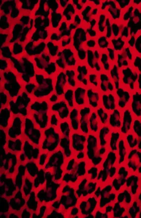 OnlyFans cuenta badboyvex header 2