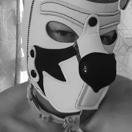 OnlyFans cuenta daddyspet271 avatar 1