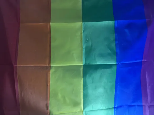 OnlyFans cuenta positively_homosexual header 2