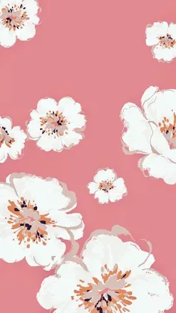 OnlyFans cuenta cashggmoney header 1