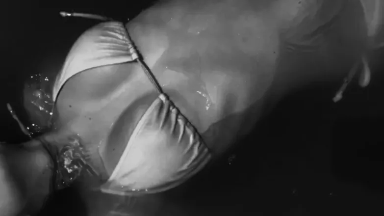 OnlyFans cuenta aaamethystrose header 2