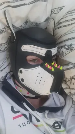OnlyFans account  pupdisko avatar 1