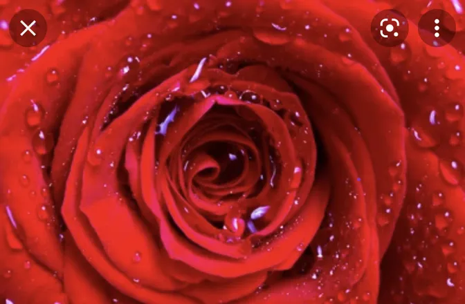 OnlyFans cuenta scorpio-queen header 2