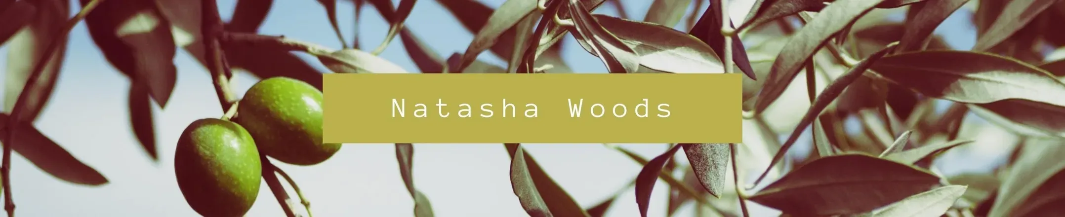 OnlyFans cuenta thenatashawoods header 2