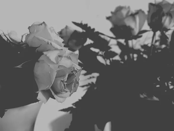 OnlyFans account  prncessprtty header 2
