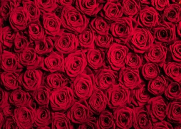 OnlyFans cuenta ravenousrae header 2
