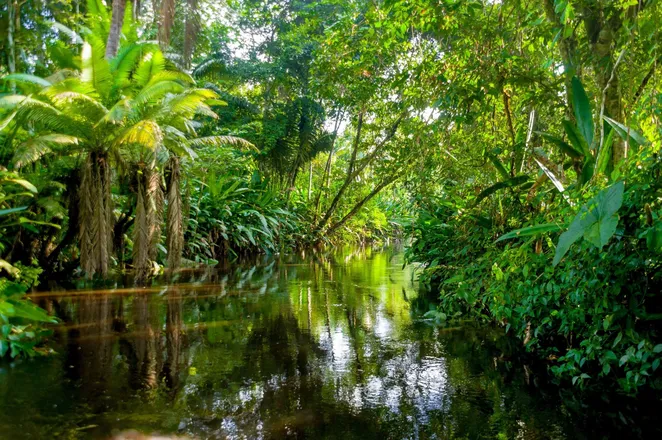 OnlyFans cuenta amazongarden header 2