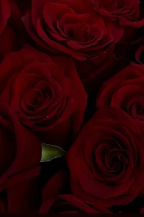 OnlyFans account  ameiilababyy header 2