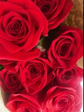 OnlyFans cuenta mrsgatesdior header 2