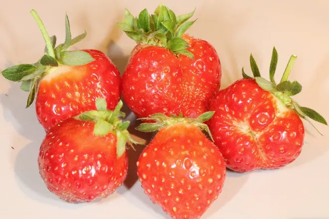 OnlyFans cuenta showerberries header 2