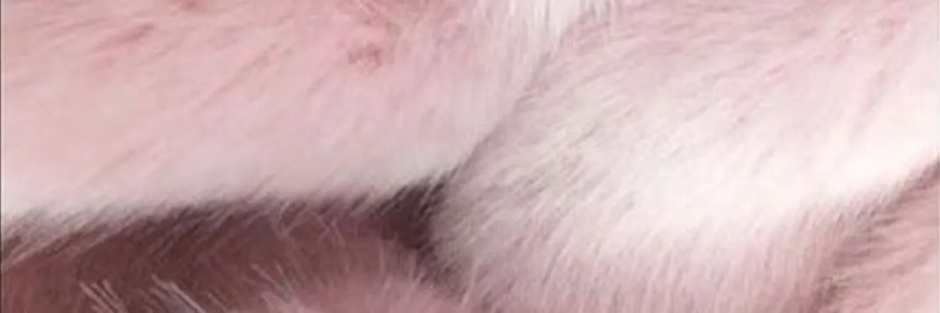 OnlyFans cuenta gabrieltresor1 header 2