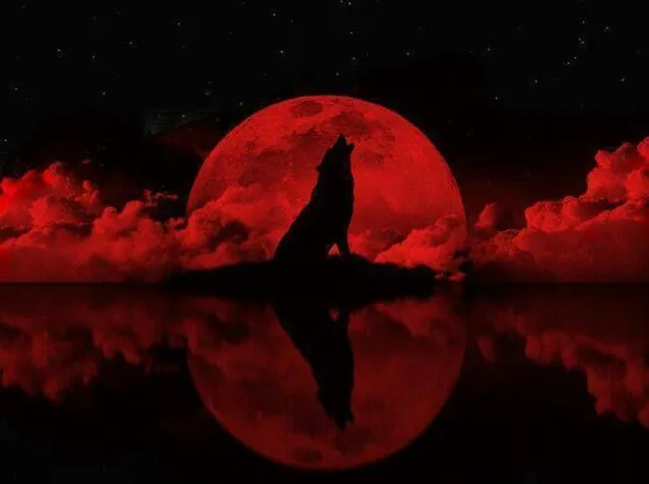 OnlyFans cuenta jennilaloba header 1