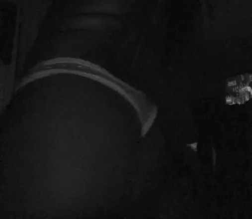 OnlyFans cuenta ishnda_ada header 2