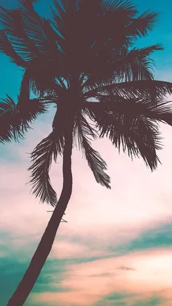OnlyFans cuenta foreveryoung192037 header 2