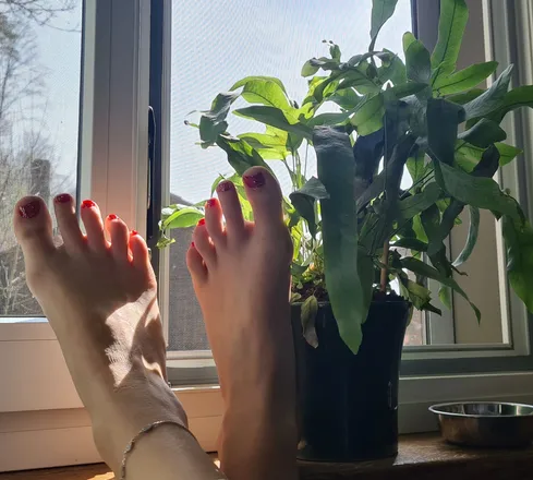 OnlyFans account  feetpicsbyesther header 2