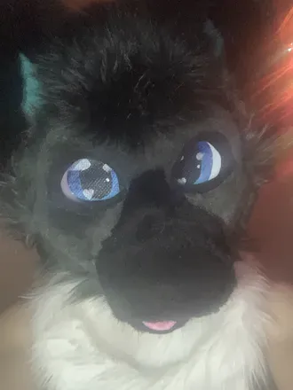 OnlyFans cuenta cyropaws header 2