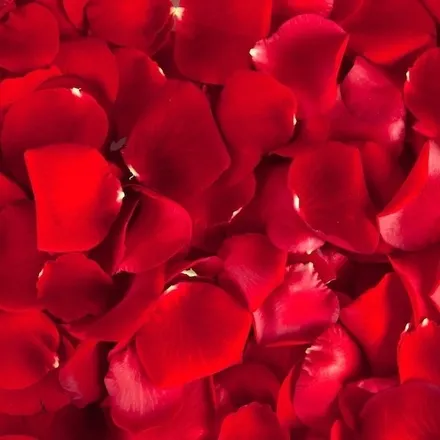 OnlyFans cuenta exotic_valentina header 2