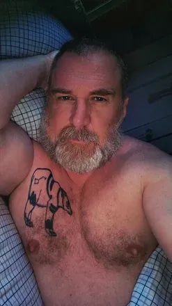 OnlyFans cuenta bearinheat avatar 1