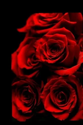 OnlyFans cuenta alexxis_rose header 2
