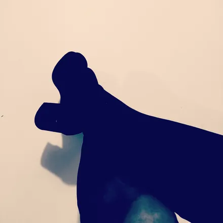 OnlyFans cuenta u222955540 header 2