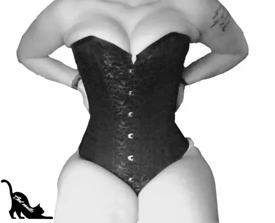 OnlyFans account  chatvanille avatar 1