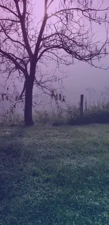 OnlyFans cuenta realdarkestate header 2