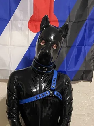 OnlyFans cuenta puptrafalgar avatar 1