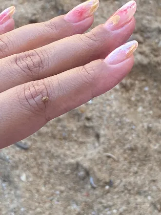 OnlyFans account  dirtyfeetanita header 2