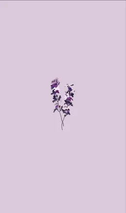 OnlyFans cuenta violetspurple header 2