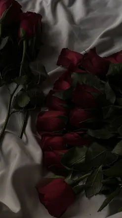 OnlyFans cuenta trixietatooine header 2