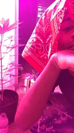 OnlyFans cuenta stapehardbody header 2