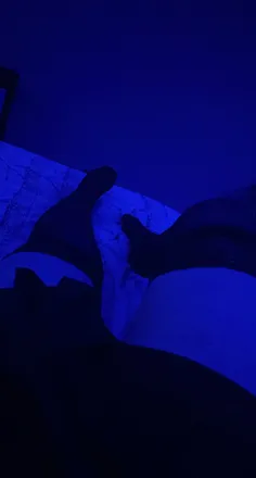 OnlyFans cuenta onlyyyrbk header 2