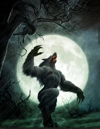 OnlyFans cuenta texaswerewolf18 avatar 1