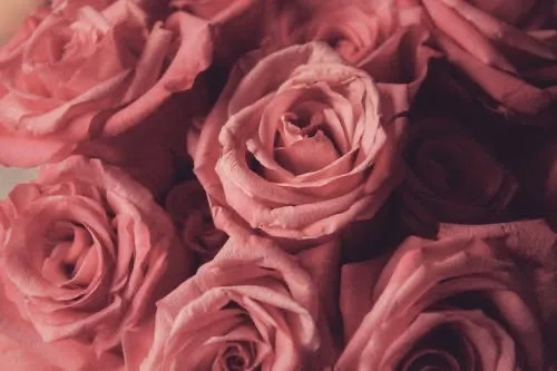 OnlyFans cuenta ktobi.xo header 2