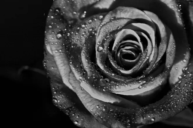 OnlyFans cuenta arianeils header 2