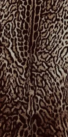 OnlyFans cuenta sameenasutra header 2