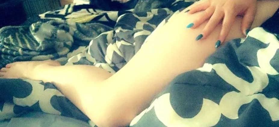 OnlyFans account  blueibabe header 2