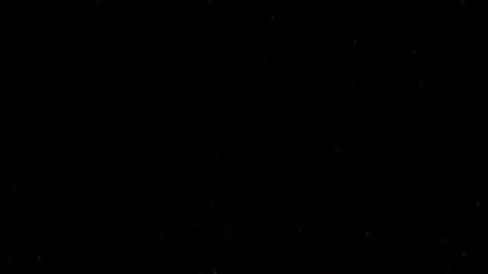 OnlyFans cuenta jakee_thesnake header 2