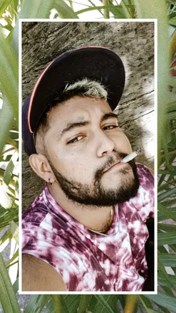 OnlyFans account  weedybear header 2